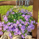 Dolina Sosny Holiday home