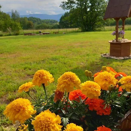 Dolina Sosny Casa de Férias Bukowiec (Lower Silesia)