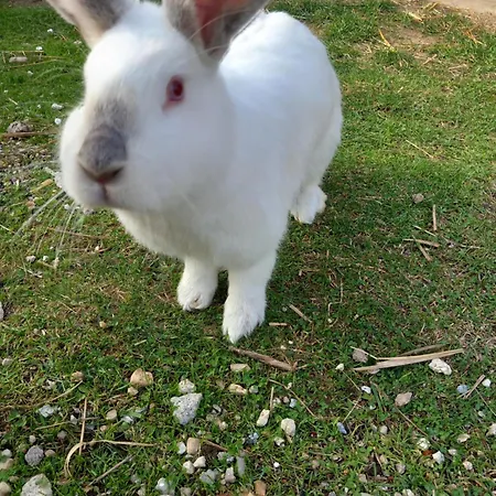 Casa de Férias Dolina Sosny *