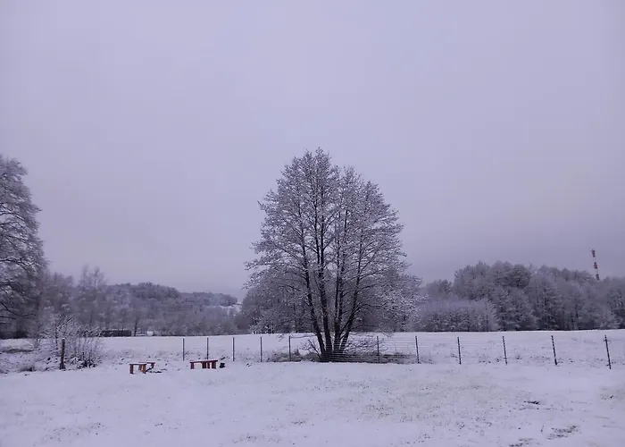 Vakantiehuis Dolina Sosny Bukowiec (Lower Silesia)