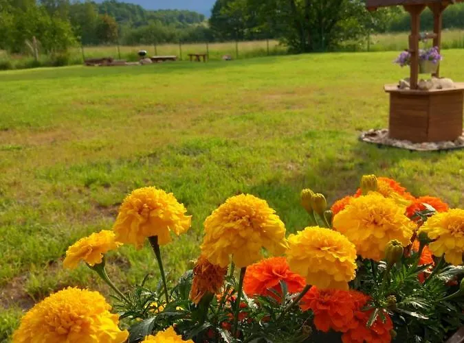 Dolina Sosny Vakantiehuis Bukowiec (Lower Silesia)