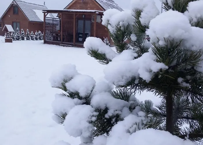 Vakantiehuis Dolina Sosny *